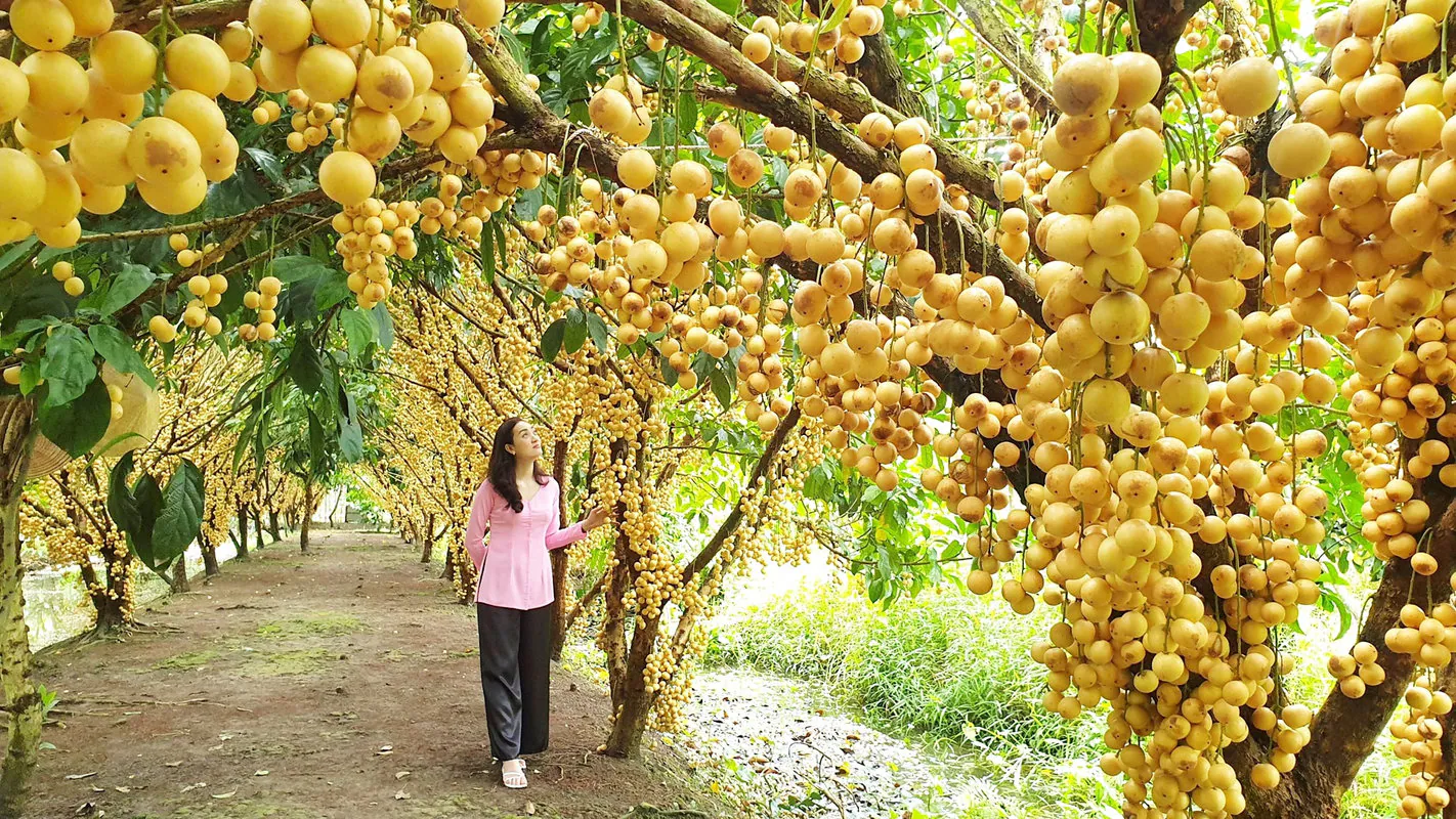  Du Lịch Miền Tây 