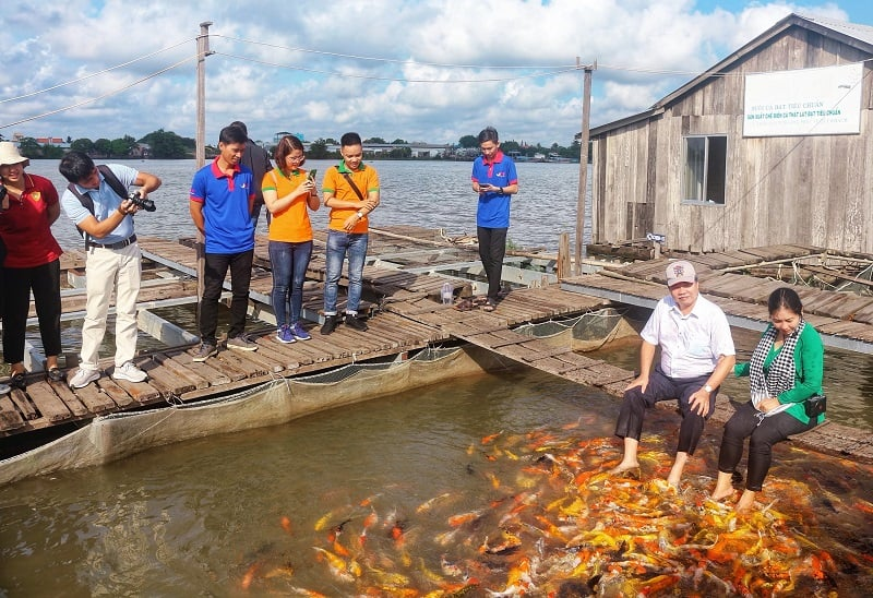 Thuê Xe Du Lịch Cần Thơ