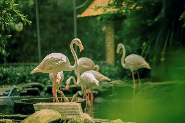 he-dong-vat-phong-phu