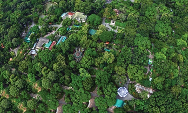 khong-gian-thuc-vat-xanh-mat