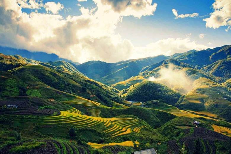 Sapa