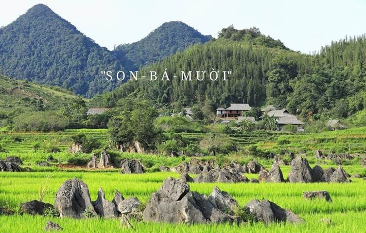 son - ba - muoi
