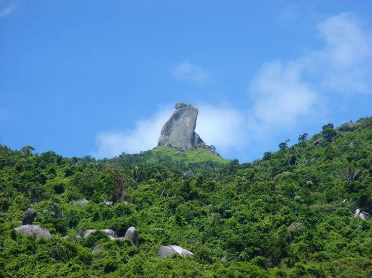 doi co lao