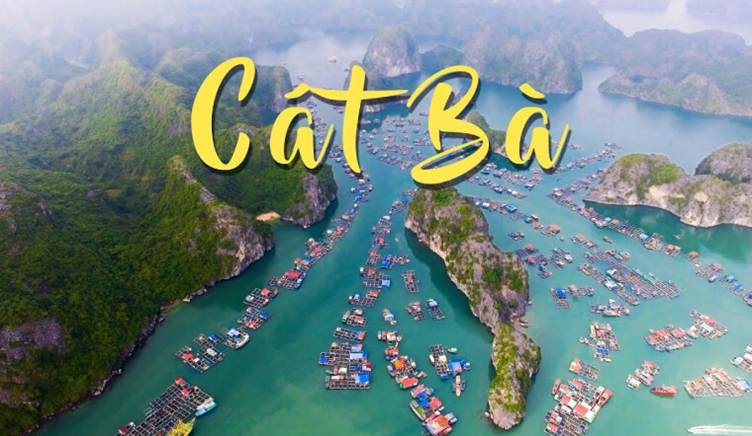 cat ba
