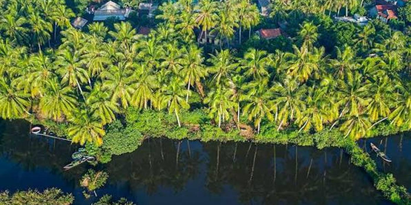 Bến Tre có gì chơi? Gợi ý những điểm đến đáng ghé tại xứ Dừa