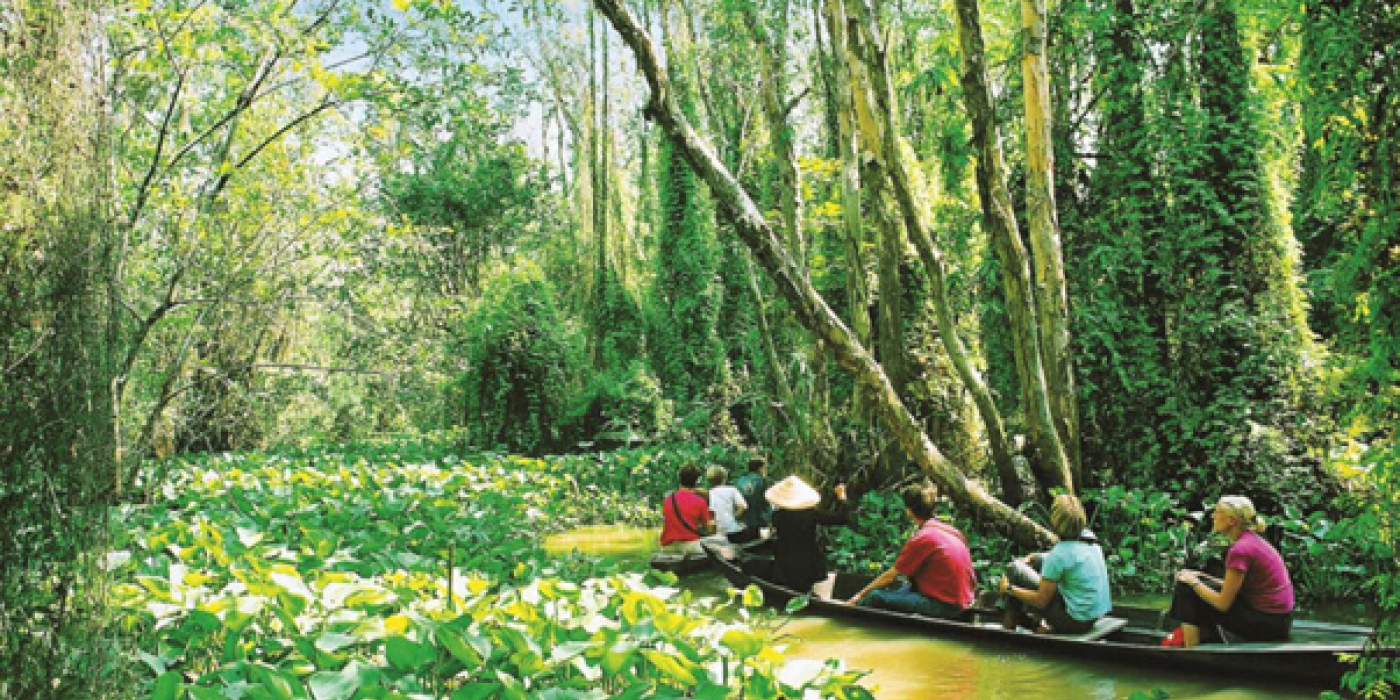 Du Lịch Đồng Tháp Mùa Nước Nổi – Trải Nghiệm Vẻ Đẹp Độc Nhất Của Miền Tây Nam Bộ