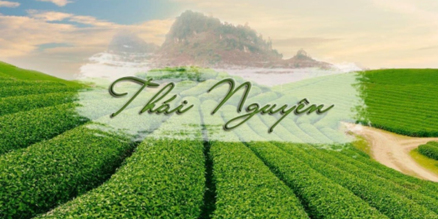 Thái Nguyên – Cẩm nang du lịch thủ phủ chè xanh